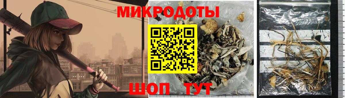 Галлюциногенные грибы мухоморы Добрянка